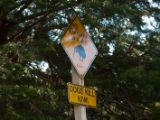 20110904-IMG 7165
