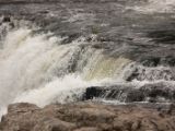 20110905-IMG 7217