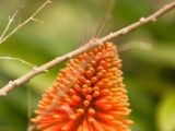 20110905-IMG 7260