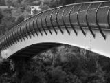 20110905-IMG 7263