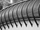 20110905-IMG 7265