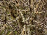 20110905-IMG 7273
