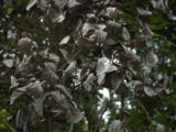 20110905-IMG 7372