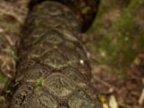 20110905-IMG 7381