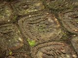 20110905-IMG 7382