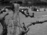 20110905-IMG 7404