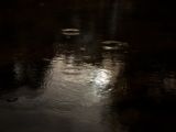 20110905-IMG 7468