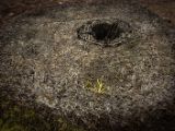 20110905-IMG 7473