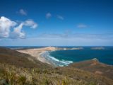 20110906-IMG 7597