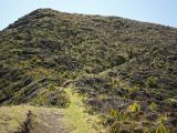 20110906-IMG 7659