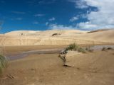 20110906-IMG 7671