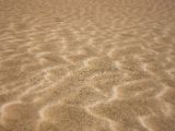 20110906-IMG 7674