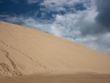 20110906-IMG 7693