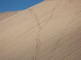 20110906-IMG 7727