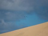 20110906-IMG 7746