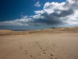 20110906-IMG 7761