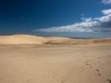 20110906-IMG 7764