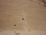 20110906-IMG 7785