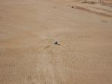 20110906-IMG 7787