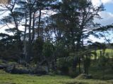 20110906-IMG 7797