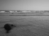 20110906-IMG 7818