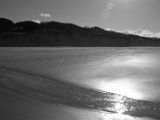 20110906-IMG 7826