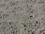 20110906-IMG 7827
