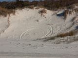 20110906-IMG 7832