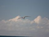 20110906-IMG 7834