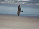20110906-IMG 7835