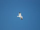 20110906-IMG 7839