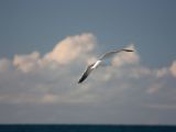 20110906-IMG 7845