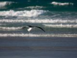 20110906-IMG 7846