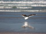 20110906-IMG 7847