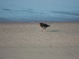 20110906-IMG 7851