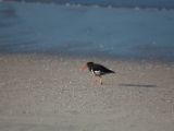 20110906-IMG 7855