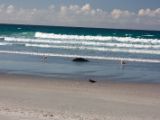 20110906-IMG 7857