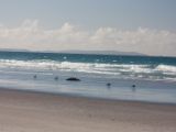 20110906-IMG 7861