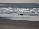 20110906-IMG 7863