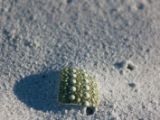 20110906-IMG 7872