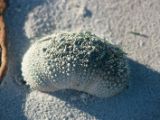 20110906-IMG 7876