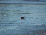20110906-IMG 7879