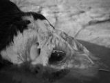 20110906-IMG 7895