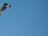 20110906-IMG 7902