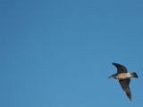 20110906-IMG 7903