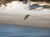 20110906-IMG 7907