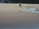 20110906-IMG 7910