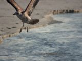 20110906-IMG 7915
