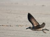 20110906-IMG 7916