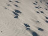 20110906-IMG 7918
